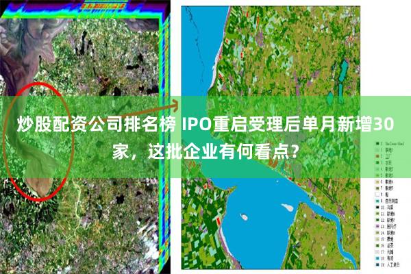 炒股配资公司排名榜 IPO重启受理后单月新增30家，这批企业有何看点？