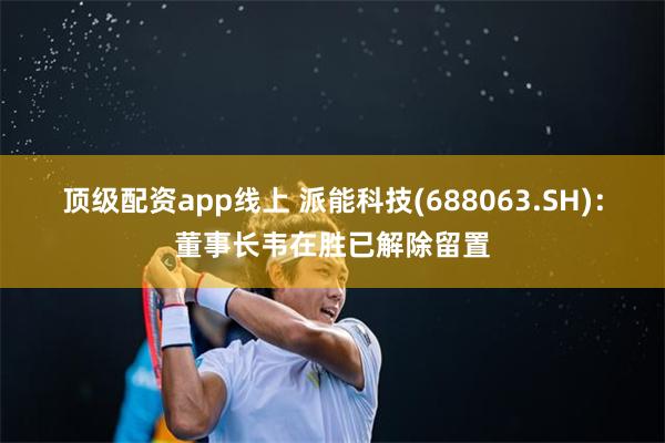 顶级配资app线上 派能科技(688063.SH)：董事长韦在胜已解除留置