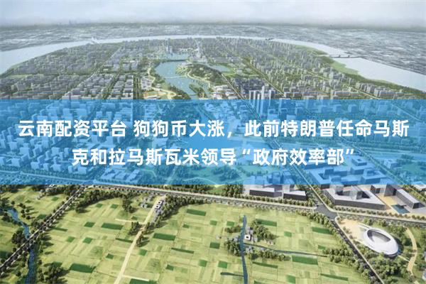 云南配资平台 狗狗币大涨，此前特朗普任命马斯克和拉马斯瓦米领导“政府效率部”