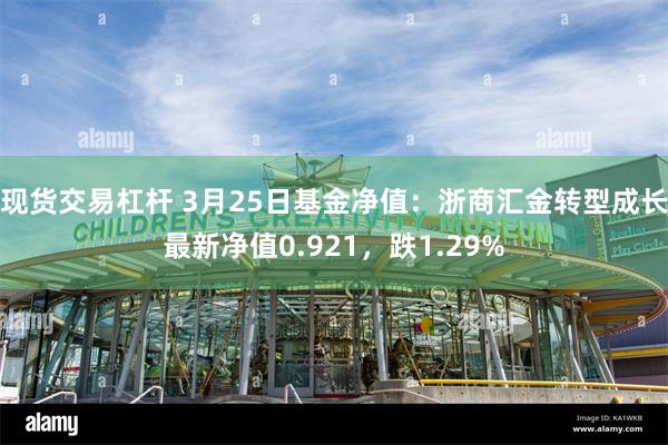 现货交易杠杆 3月25日基金净值：浙商汇金转型成长最新净值0.921，跌1.29%