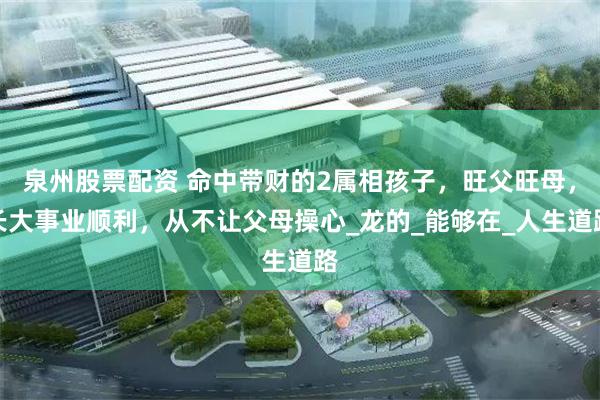 泉州股票配资 命中带财的2属相孩子，旺父旺母，长大事业顺利，从不让父母操心_龙的_能够在_人生道路