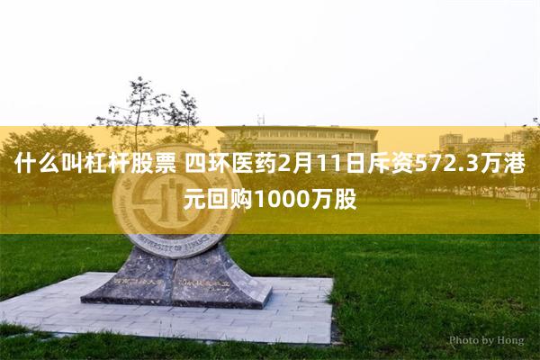 什么叫杠杆股票 四环医药2月11日斥资572.3万港元回购1000万股