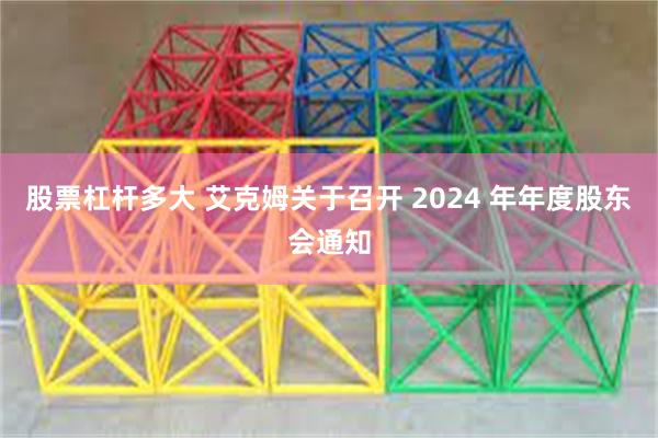 股票杠杆多大 艾克姆关于召开 2024 年年度股东会通知