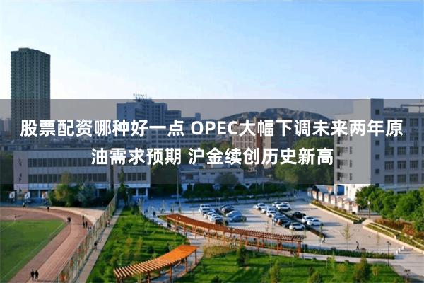 股票配资哪种好一点 OPEC大幅下调未来两年原油需求预期 沪金续创历史新高
