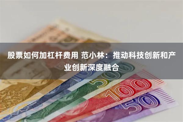 股票如何加杠杆费用 范小林：推动科技创新和产业创新深度融合