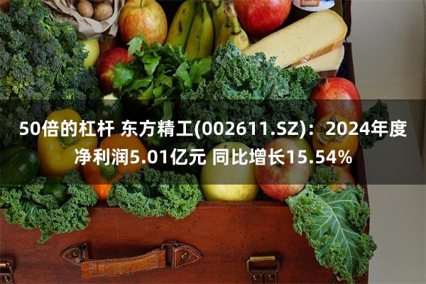 50倍的杠杆 东方精工(002611.SZ)：2024年度净利润5.01亿元 同比增长15.54%