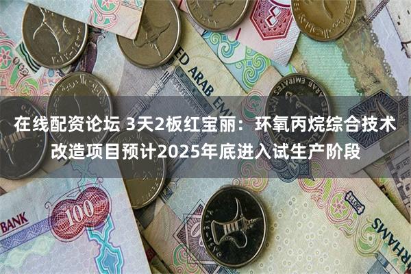 在线配资论坛 3天2板红宝丽：环氧丙烷综合技术改造项目预计2025年底进入试生产阶段