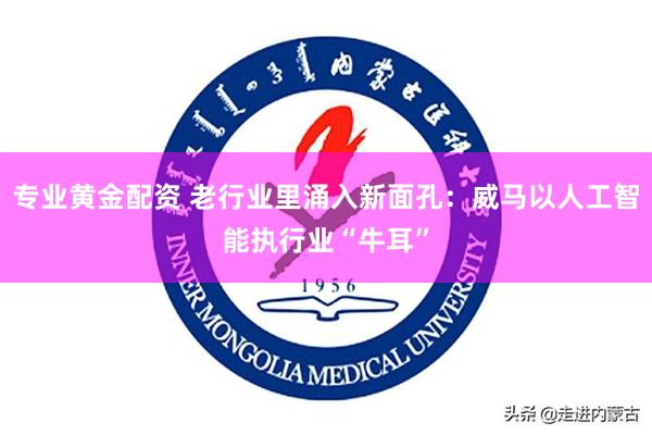 专业黄金配资 老行业里涌入新面孔：威马以人工智能执行业“牛耳”
