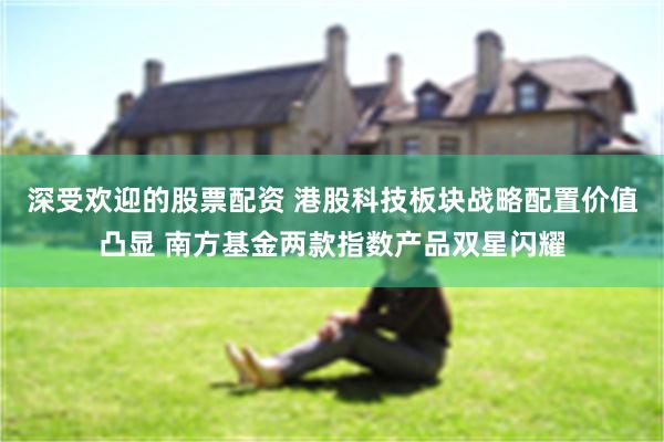 深受欢迎的股票配资 港股科技板块战略配置价值凸显 南方基金两款指数产品双星闪耀