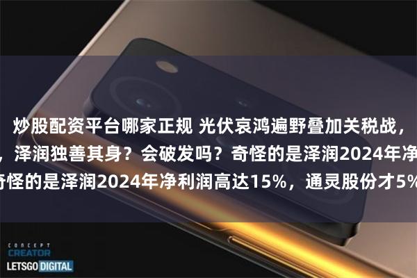炒股配资平台哪家正规 光伏哀鸿遍野叠加关税战，泽润新能却能成功上市，泽润独善其身？会破发吗？奇怪的是泽润2024年净利润高达15%，通灵股份才5%！