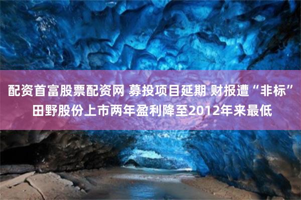 配资首富股票配资网 募投项目延期 财报遭“非标” 田野股份上市两年盈利降至2012年来最低