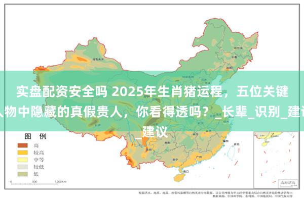 实盘配资安全吗 2025年生肖猪运程，五位关键人物中隐藏的真假贵人，你看得透吗？_长辈_识别_建议