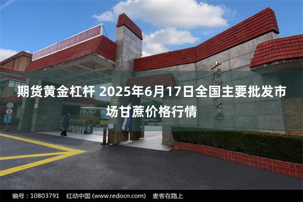 期货黄金杠杆 2025年6月17日全国主要批发市场甘蔗价格行情