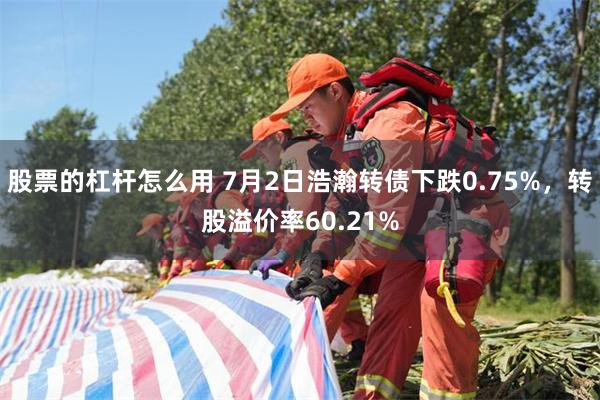 股票的杠杆怎么用 7月2日浩瀚转债下跌0.75%，转股溢价率60.21%