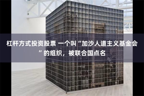 杠杆方式投资股票 一个叫“加沙人道主义基金会”的组织，被联合国点名