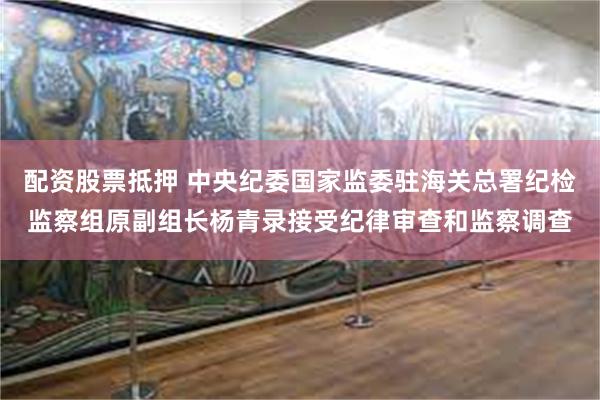 配资股票抵押 中央纪委国家监委驻海关总署纪检监察组原副组长杨青录接受纪律审查和监察调查