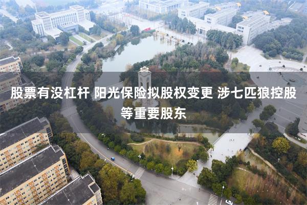 股票有没杠杆 阳光保险拟股权变更 涉七匹狼控股等重要股东