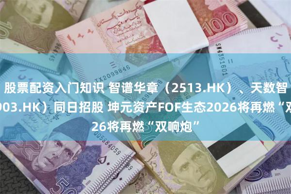 股票配资入门知识 智谱华章（2513.HK）、天数智芯（9903.HK）同日招股 坤元资产FOF生态2026将再燃“双响炮”