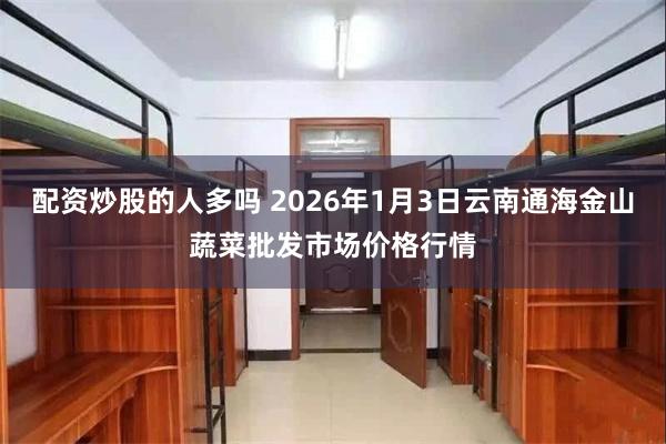 配资炒股的人多吗 2026年1月3日云南通海金山蔬菜批发市场价格行情