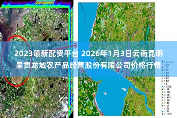 2023最新配资平台 2026年1月3日云南昆明呈贡龙城农产品经营股份有限公司价格行情